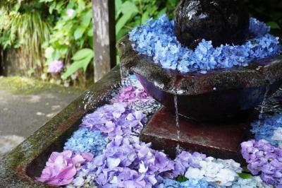 丹州觀音寺の紫陽花とホテル流星館