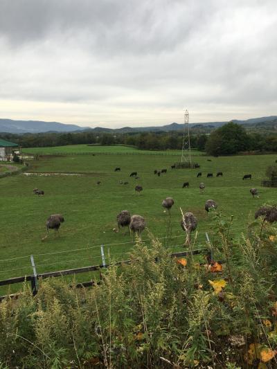 北海道4日目　ニセコから登別温泉