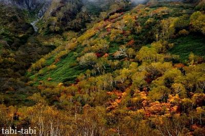 白馬（五竜・栂池・八方尾根） 霧の中の紅葉