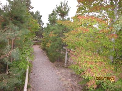 大平原と戦跡を巡るポーランド・バルト三国の旅 ②リトアニア