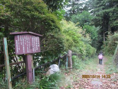 ＧoＴoトラベルキャンペーン・１３．秋の箱根 湯本温泉の旅