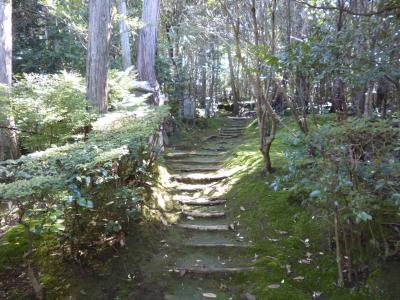 栗東市で　四国88か所巡礼！？　in 安養寺