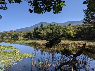 知床五湖と野生熊、幻の寿司屋を訪ねる旅