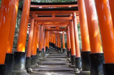 	 2020年３月　春なのに人の少ない京都観光　その２　伏見稲荷、東福寺、高台寺、清水寺