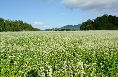 桜井市笠のそば畑　＆　笠荒神（笠山荒神社）