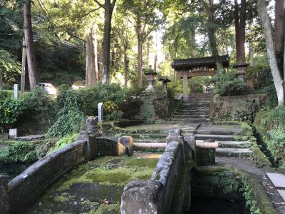 秋の鎌倉　～浄智寺から寿福寺へ～