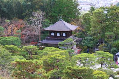 錦秋の古都京都17の世界遺産を巡る②（高山寺、天龍寺、西芳寺、銀閣寺、西本願寺、東寺、龍安寺）