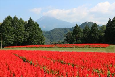 GoToトラベルで休暇村奥大山の旅。