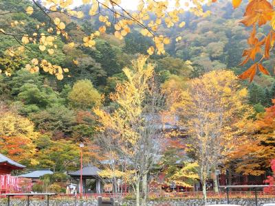 渋滞を避けて紅葉狩りの日光半月山