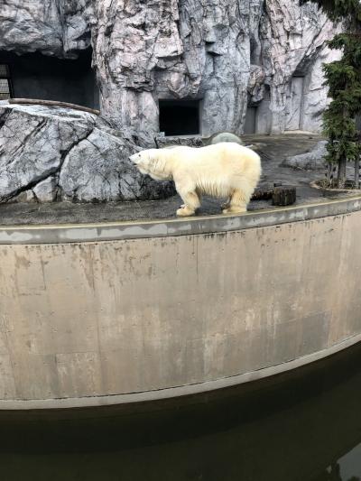 秋の旭川～札幌グルメ旅　旭川編