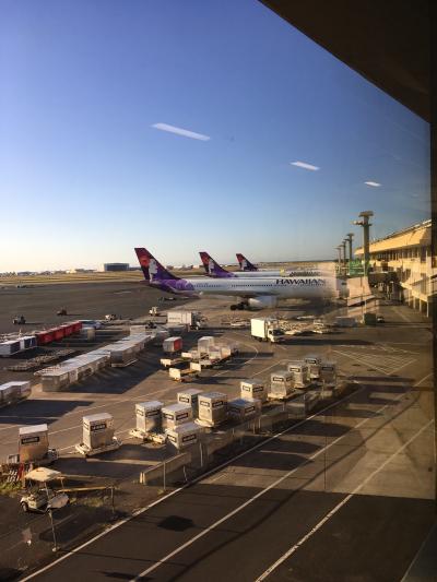 ２０２０ハワイ５日間①