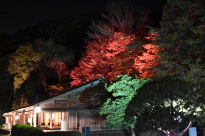 夜遊び（2）　北広島