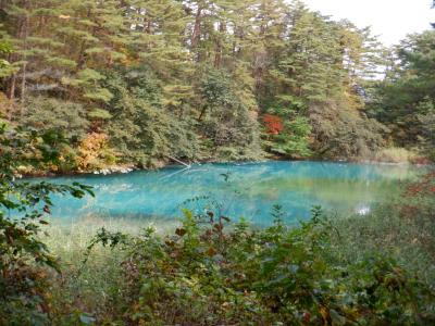 日帰り裏磐梯☆紅葉とエメラルドグリーンの青沼(五色沼)