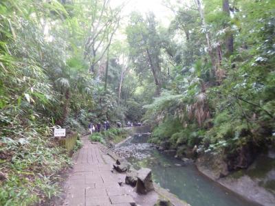 等々力 ぶらり散歩