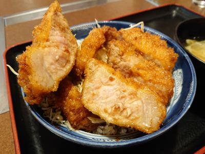 伊那『ソースかつ丼と温泉』の会(と言っても一人だけど)第二弾