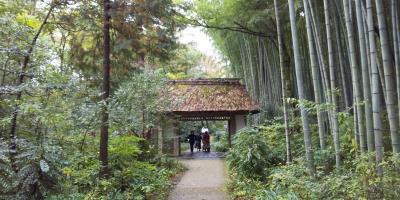 箱根ドライブ旅行（3日目）