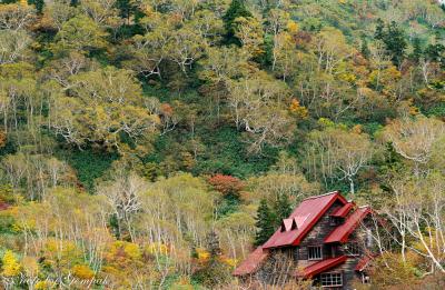 写真好き仲間９人での撮影旅　～栂池自然園の紅葉～