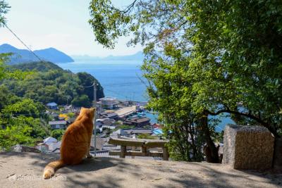 Goto香川！離島とくいだおれのひとり旅 2日目前編【男木島】