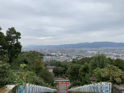 女ひとりで福岡旅！（①めくるめく久留米と福岡市博物館編）