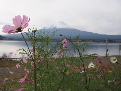 初秋の富士五湖   2020