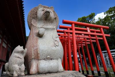 Goto香川！離島とくいだおれのひとり旅 3日目【屋島】