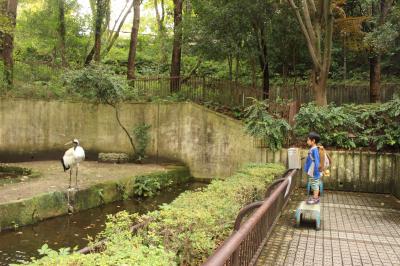 4歳連れ　母子日帰り旅　【たったの500円？！見る価値あり！さくっと横浜金沢動物園の旅】