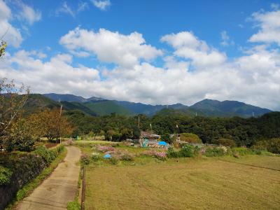 表丹沢麓ハイキング・西山林道、黒竜の滝