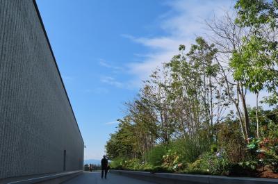 Japan　山羊のいた草地が素敵な空間になっていました！　立川グリーン・スプリングス