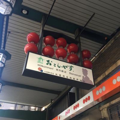 ⑦京都編その3どこでもドアきっぷ~夫婦旅