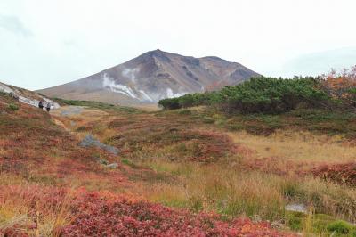 GoToトラベル利用　レンタカーで巡る北海道８日間の旅！　№３／３　第６～８日目　稚内～大雪山旭岳～旭岳温泉～由仁～新千歳空港～帰着　編