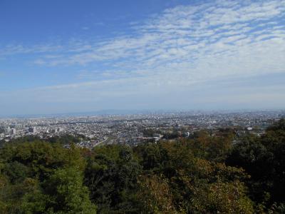 甲山周辺の植物観察