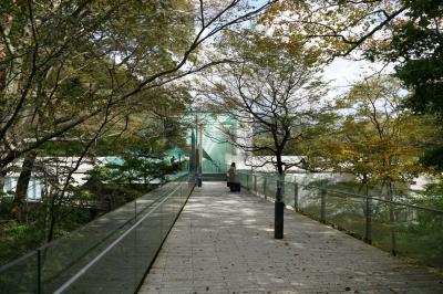 【神奈川】秋の箱根（ポーラ美術館、THE HIRAMATSU HOTELS & RESORTS 仙石原）