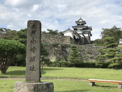 南東北城廻りドライブ旅行　その６　白河小峰城、多賀谷城