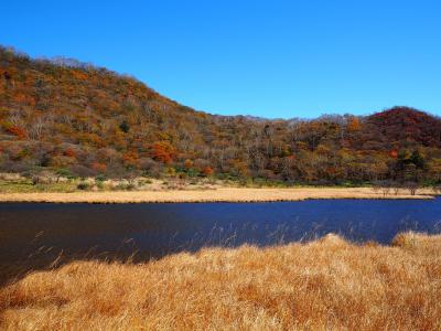 赤城山～大沼～覚満淵　紅葉真っ盛り！ミニハイク