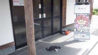 2020年9月守ろう心身の健康！四国リンリン時々テクテク遍路(5)住民・寺猫が愛す徳島市内を巡る