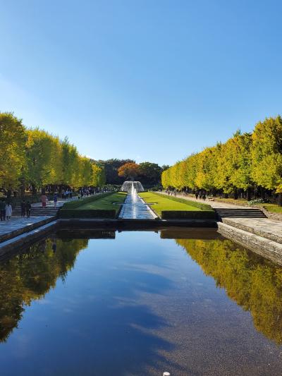 晴天に誘われ、昼下がりの昭和記念公園散歩