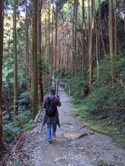 久留米高良山とGOTO使って原鶴温泉