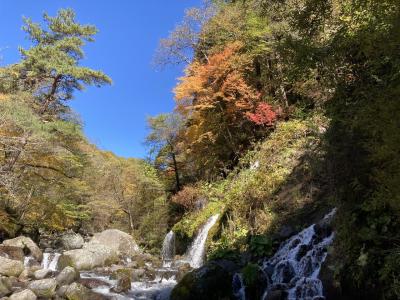 八ヶ岳山麓で紅葉狩り