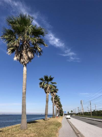 千葉県・袖ヶ浦でサイクリング