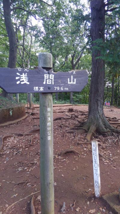 秋の浅間山(せんげんやま)公園ひとり散歩