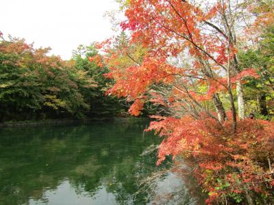 日帰りバス旅 2020 軽井沢