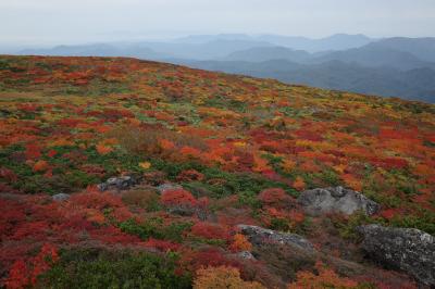 神の絨毯栗駒山紅葉狩り