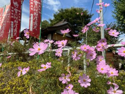 東京→埼玉・所沢付近の都県境を歩く2020③～所沢→新秋津の寺社～