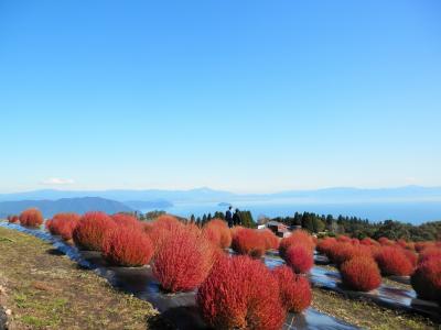 びわこ函館山へピクニック~♪
