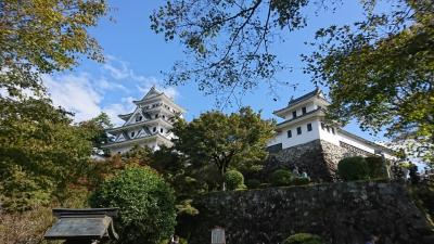 郡上八幡城～せせらぎ街道ドライブ