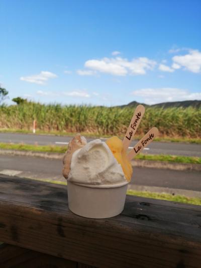 レンタカーで巡る奄美大島　10月下旬のビーチ＆マングローブカヌー 3days☆前編☆