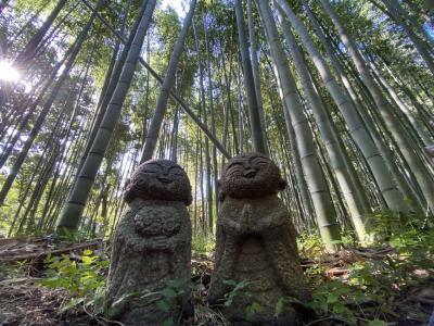2020GoToトラベルで行く京都の旅③嵐山散策