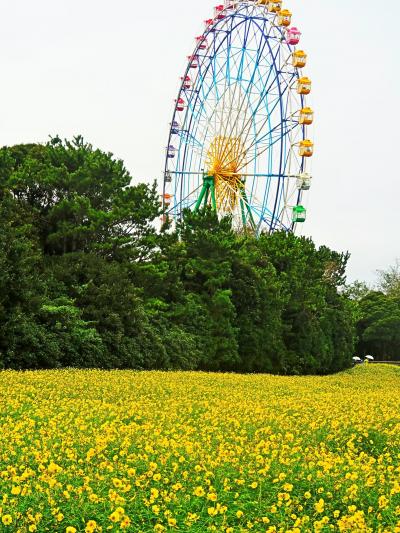 ひたちなか-2　国営ひたち海浜公園 a　 勝田駅～開園前に到着　☆サイクルセンター一番乗り