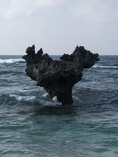 2020年10月 GotoTravel 沖縄本島4日目 美ら海水族館でジンベエザメに会い、人類発祥の地に降り立つ