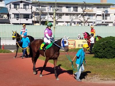 ♪名古屋競馬♪名古屋めし♪会社の同僚達との小旅行